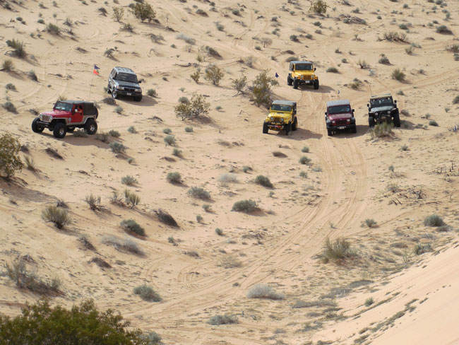 Jeeps in the desert